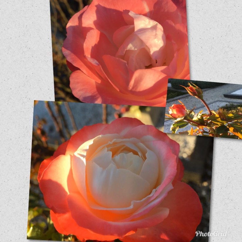 5d856dd6-883c-471c-afcc-558eb1b00692